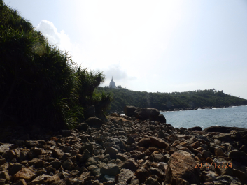 photo 1266460