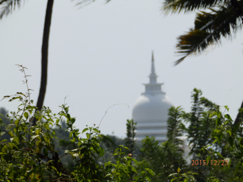 photo 1267867