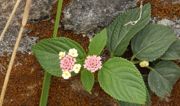 P3042660