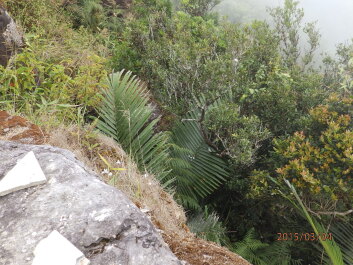 photo 1168253