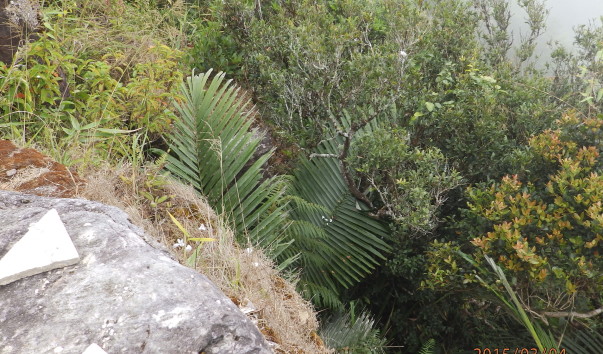 P3042652