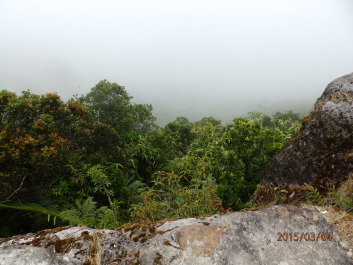 photo 1168254