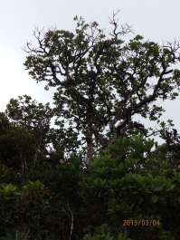 photo 1168256