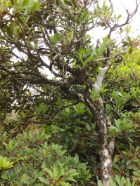 photo 1168257