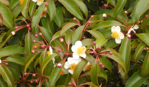 P3042646