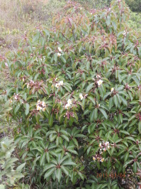 photo 1168260