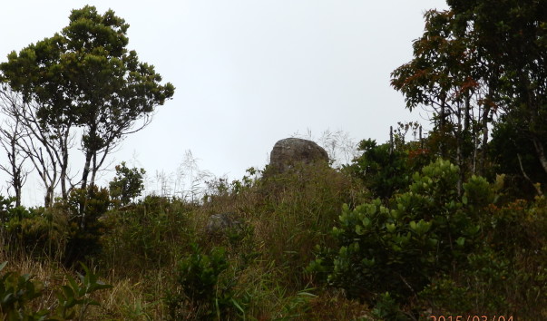 P3042643