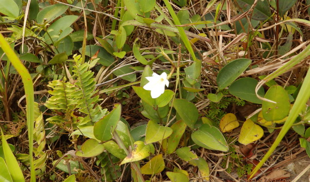 P3042640