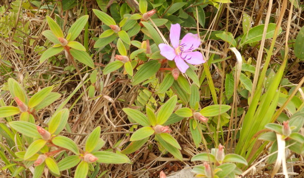 P3042639