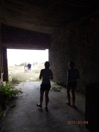 photo 1168271