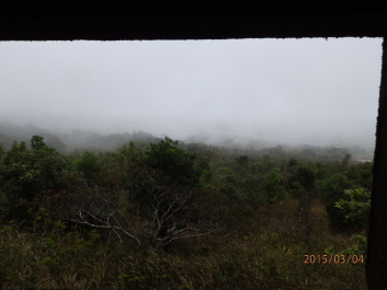 photo 1168276