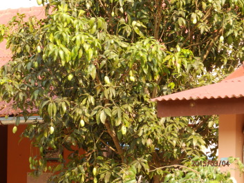 photo 1168410
