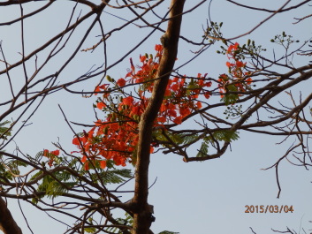 photo 1168350
