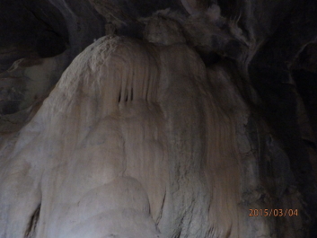 photo 1168372