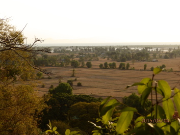 photo 1168379