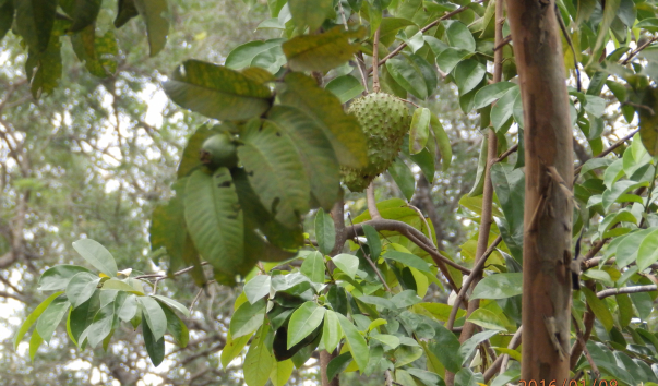 P1084504