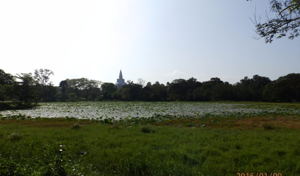 P1094665