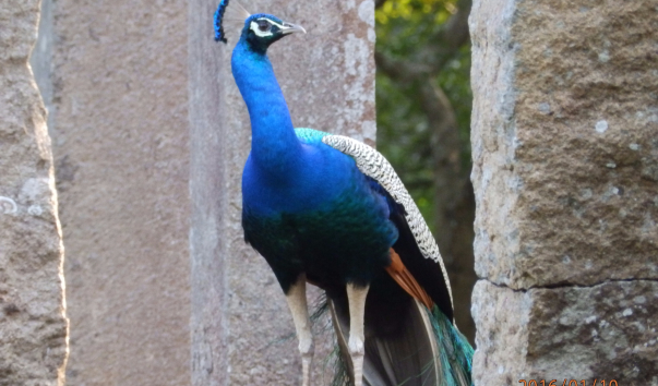 P1104890