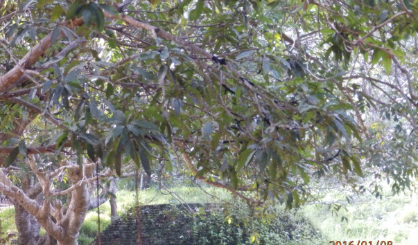 P1084065