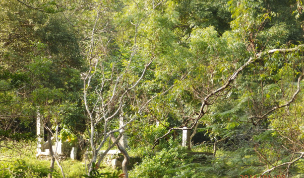 P1084064