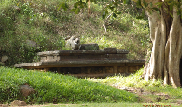 P1084063