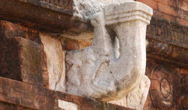 P1104821