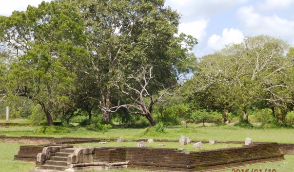 P1104795