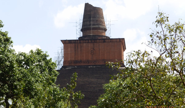 P1104783
