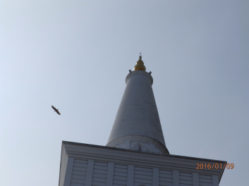 photo 1278004