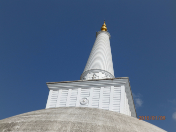 photo 1278013