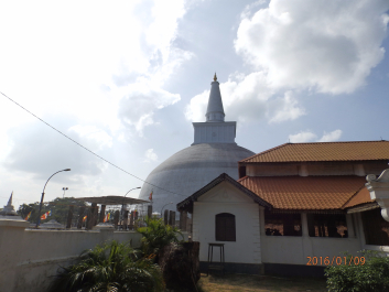 photo 1278031