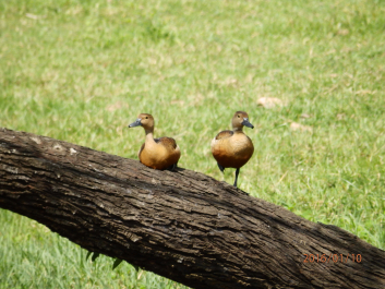 photo 1279033