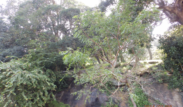 P1084129