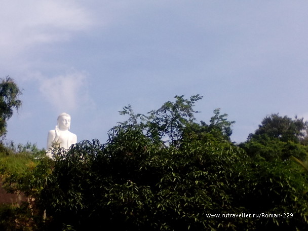 photo 1277058