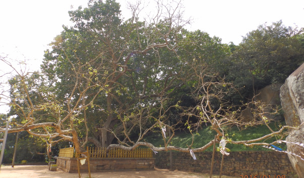 P1084304
