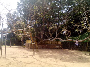 photo 1277256