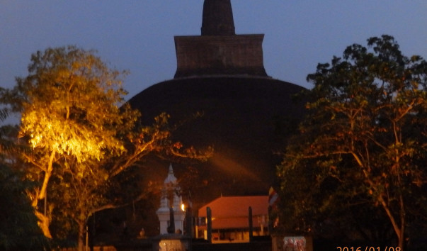 P1084054