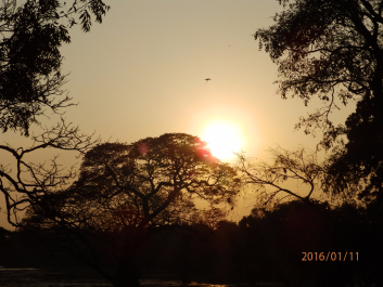 photo 1279806