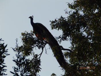 photo 1281391