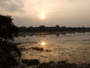 photo 1281514