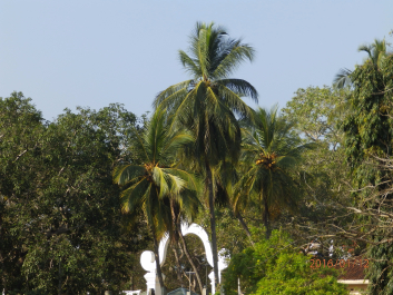 photo 1281417