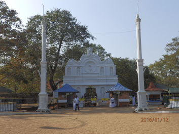 photo 1281421