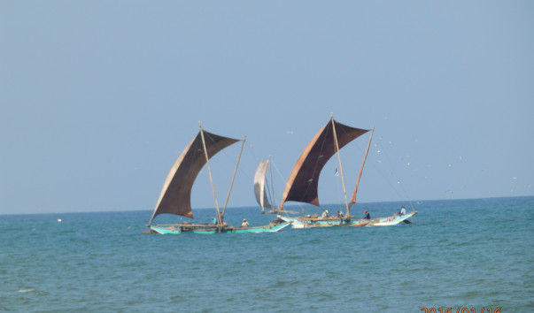 P1165628