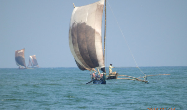 P1165624