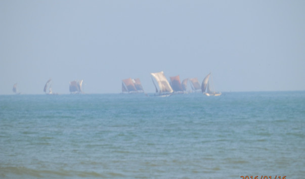 P1165606
