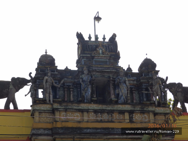photo 1283984