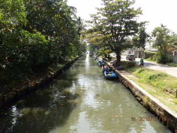 photo 1284015