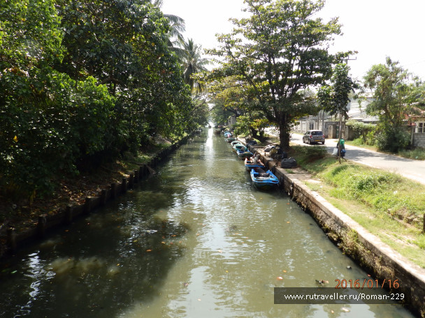photo 1284015