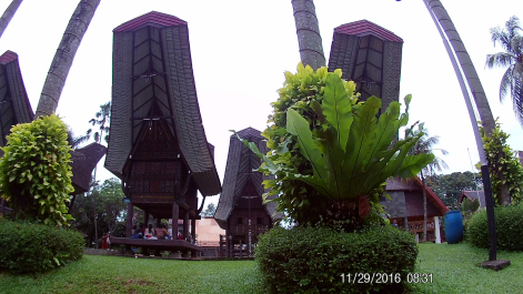 photo 1442273
