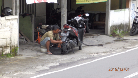 photo 1442351